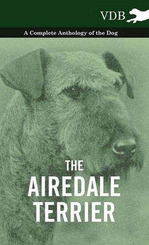 Cover image for The Airedale Terrier - A Complete Anthology of the Dog -