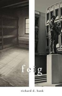 Cover image for Feig