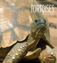 Cover image for Tortoises