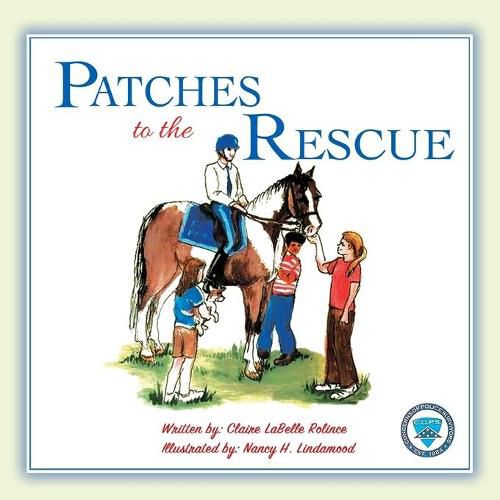 Cover image for Patches to the Rescue