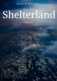 Cover image for Shelterland