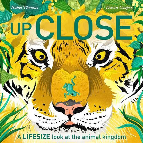 Cover image for Up Close: A life-size look at the animal kingdom