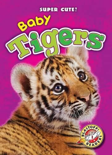 Baby Tigers