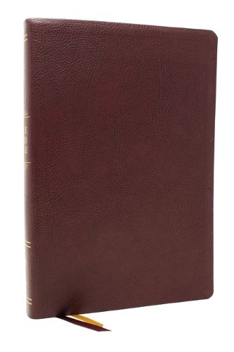 Cover image for Peace of God Bible: Discover and Experience God's Shalom Throughout the Bible (NKJV, Burgundy Bonded Leather, Red Letter, Comfort Print)