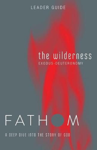 Cover image for Fathom Bible Studies: The Wilderness Leader Guide