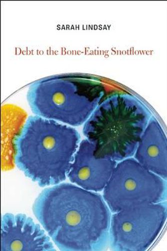 Cover image for Debt to the Bone-Eating Snotflower