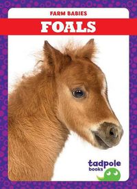 Cover image for Foals