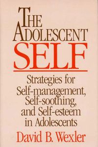 Cover image for The Adolescent Self: Strategies for Self-management, Self-soothing and Self-esteem in Adolescents