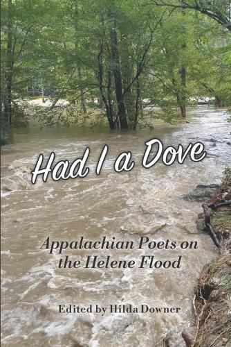 Cover image for Had I a Dove