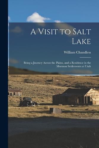 Cover image for A Visit to Salt Lake