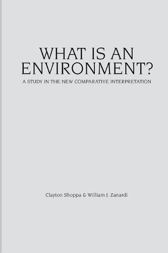 What Is an Environment?: A Study in the New Comparative Interpretation