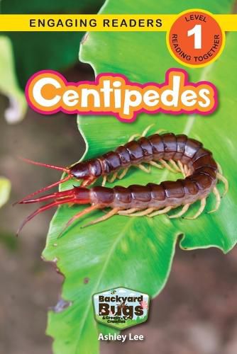 Cover image for Centipedes