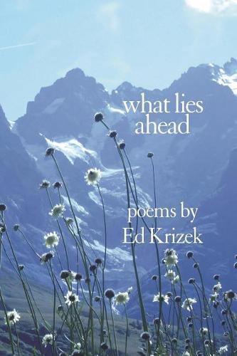 Cover image for What Lies Ahead: A Collection of Poems