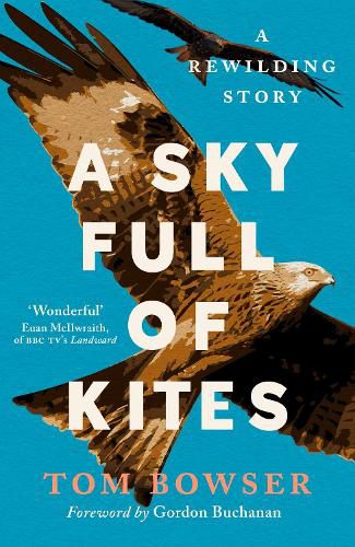 Cover image for A Sky Full of Kites: A Rewilding Story