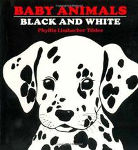 Cover image for Baby Animals Black and White