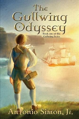 Cover image for The Gullwing Odyssey