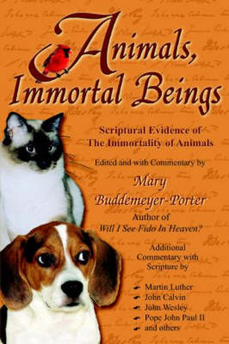 Cover image for Animals, Immortal Beings