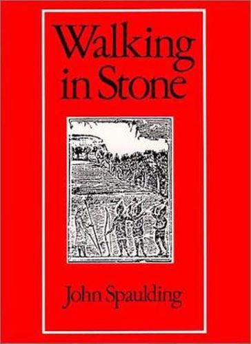 Cover image for Walking in Stone