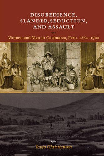 Cover image for Disobedience, Slander, Seduction, and Assault: Women and Men in Cajamarca, Peru, 1862-1900