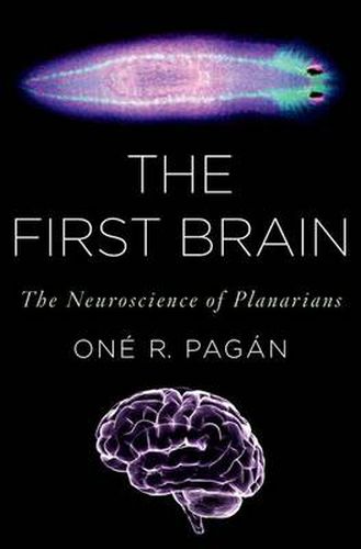 Cover image for The First Brain: The Neuroscience of Planarians