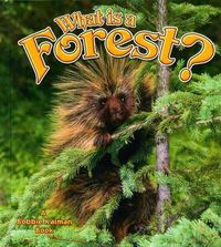 Cover image for What is a Forest?