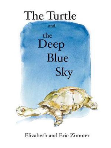 Cover image for The Turtle and the Deep Blue Sky