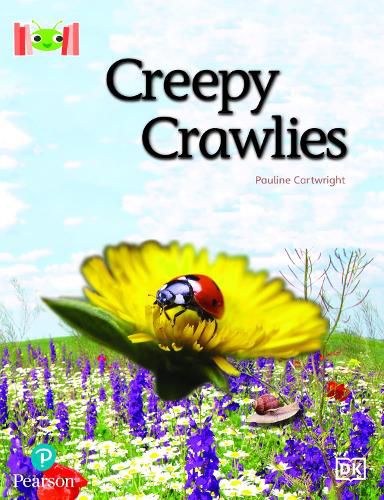 Cover image for Bug Club Reading Corner: Age 5-7: Creepy Crawlies