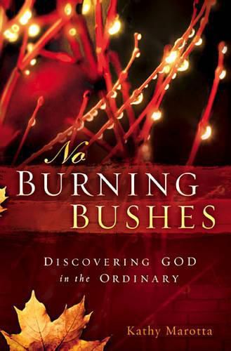 Cover image for No Burning Bushes