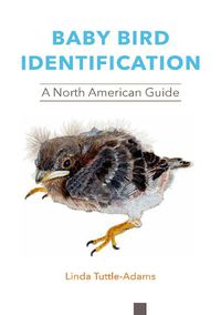 Cover image for Baby Bird Identification: A North American Guide