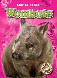 Cover image for Wombats