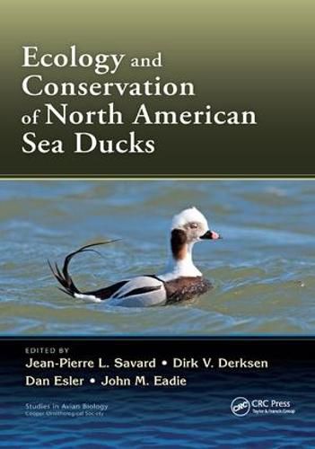 Cover image for Ecology and Conservation of North American Sea Ducks