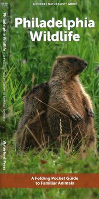 Cover image for Philadelphia Wildlife: A Folding Pocket Guide to Familiar Animals