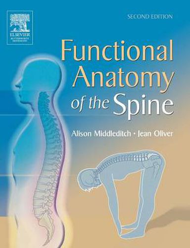 Cover image for Functional Anatomy of the Spine