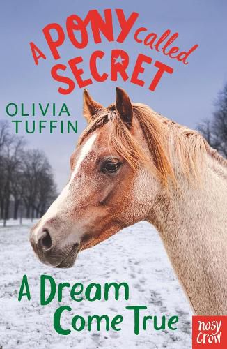 Cover image for A Pony Called Secret: A Dream Come True