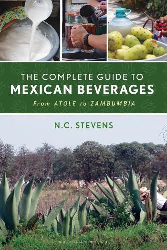 Cover image for The Complete Guide to Mexican Beverages
