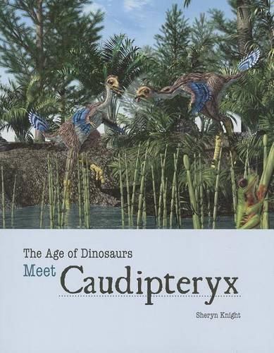 Cover image for Meet Caudipteryx