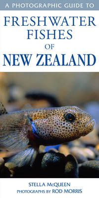 Cover image for Photographic Guide To Freshwater Fishes Of New Zealand