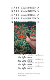 Cover image for The Light Room