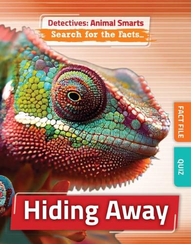 Cover image for Hiding Away