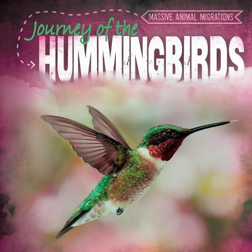 Cover image for Journey of the Hummingbirds