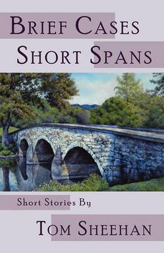 Cover image for Brief Cases, Short Spans