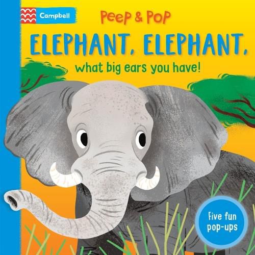 Cover image for Elephant, Elephant, What Big Ears You Have!