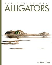 Cover image for Alligators