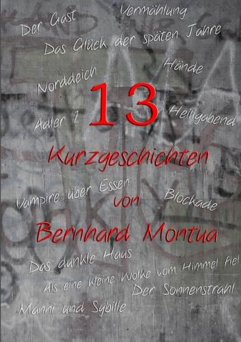 Cover image for 13 Kurzgeschichten
