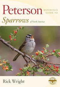 Cover image for Peterson Reference Guide to Sparrows of North America