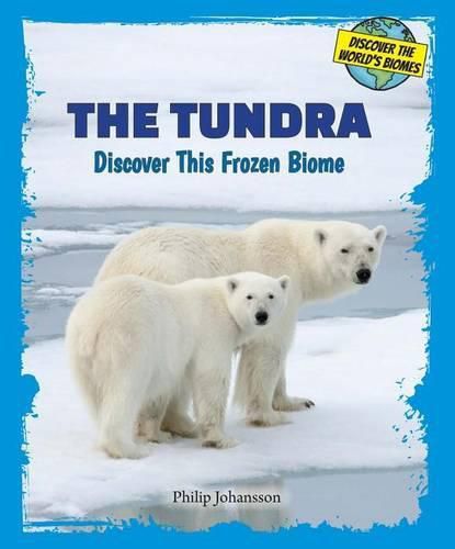 Cover image for The Tundra: Discover This Frozen Biome