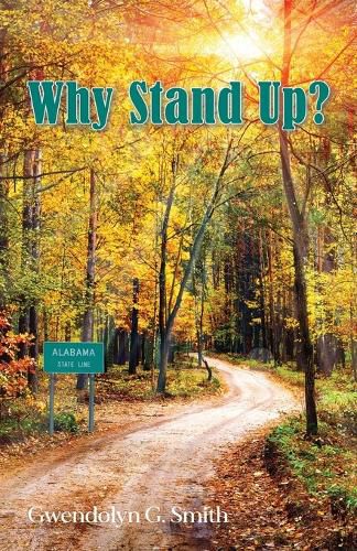 Cover image for Why Stand Up?