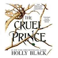 Cover image for The Cruel Prince