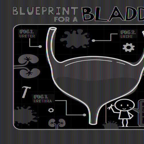 Blueprint for a Bladder