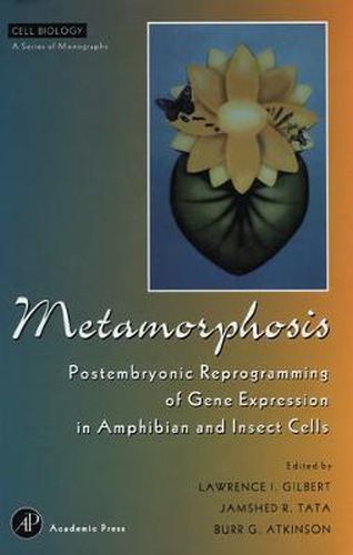 Cover image for Metamorphosis: Postembryonic Reprogramming of Gene Expression in Amphibian and Insect Cells